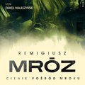 Cienie pośród mroku - audiobook