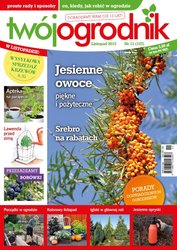 : Twój Ogrodnik - e-wydanie – 11/2015