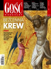 : Gość Niedzielny - Łowicki - e-wydanie – 14/2017