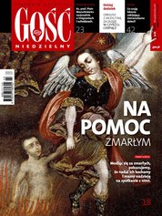 : Gość Niedzielny - Zielonogórsko-Gorzowski - e-wydanie – 43/2017