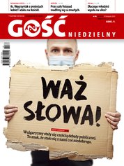 : Gość Niedzielny - Świdnicki - e-wydanie – 46/2020