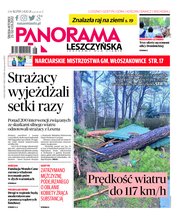 : Panorama Leszczyńska - e-wydanie – 8/2022