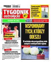 : Tygodnik Ostrołęcki - Tygodnik Ostrołęcki - e-wydanie – 44/2022