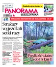 : Panorama Leszczyńska - 8/2022