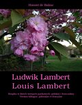 Literatura piękna, beletrystyka: Ludwik Lambert. Louis Lambert - ebook