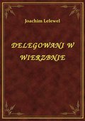 Delegowani W Wierzbnie - ebook