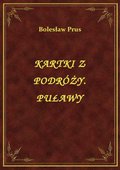 ebooki: Kartki Z Podróży. Puławy - ebook