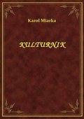 Kulturnik - ebook