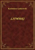 Litwaki - ebook