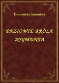 ebooki: Paziowie Króla Zygmunta - ebook
