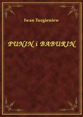 Punin I Baburin - ebook