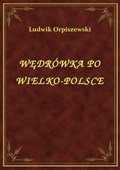 ebooki: Wędrówka Po Wielko-Polsce - ebook