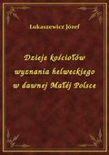 Dzieje kościołów wyznania helweckiego w dawnej Małéj Polsce - ebook