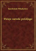 Dzieje narodu polskiego - ebook