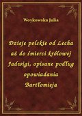 Dzieje polskie od Lecha aż do śmierci królowej Jadwigi, opisane podług opowiadania Bartłomieja - ebook