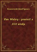 Pan Walery : powieść z XIX wieku - ebook