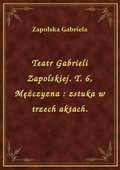 Teatr Gabrieli Zapolskiej. T. 6, Mężczyzna : zstuka w trzech aktach. - ebook