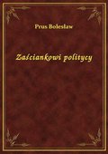 Zaściankowi politycy - ebook