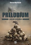 Preludium. Skalani grzechem - ebook