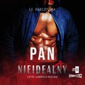 audiobooki: Pan Nieidealny - audiobook