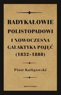 Radykałowie polistopadowi i nowoczesna galaktyka pojęć (1832-1888) - ebook
