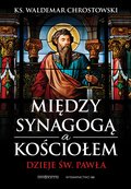 Między Synagogą i Kościołem. Dzieje św. Pawła - ebook