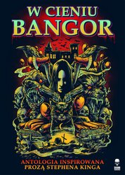 : W cieniu Bangor - ebook