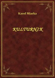 : Kulturnik - ebook