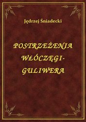 : Postrzeżenia Włóczęgi-Guliwera - ebook