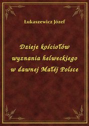 : Dzieje kościołów wyznania helweckiego w dawnej Małéj Polsce - ebook