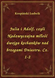 : Julia i Adolf, czyli Nadzwyczajna miłość dwojga kochanków nad brzegami Dniestru. Cz. 1-2 - ebook