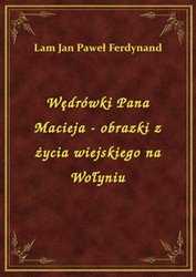 : Wędrówki Pana Macieja - obrazki z życia wiejskiego na Wołyniu - ebook