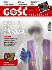 : Gość Niedzielny - Świdnicki - e-wydanie – 51/2020